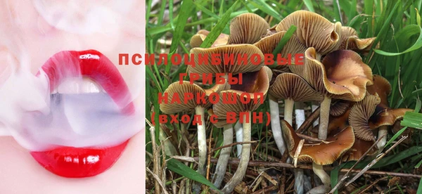 PSILOCYBIN Алексеевка