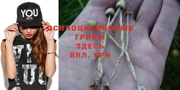 PSILOCYBIN Алексеевка